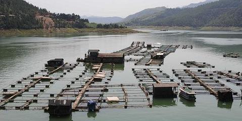地震灾区青川县依托优质水源发展水产养殖