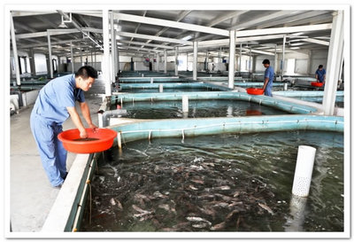 为两岸渔业合作交流“铺路架桥”-中国供销合作网